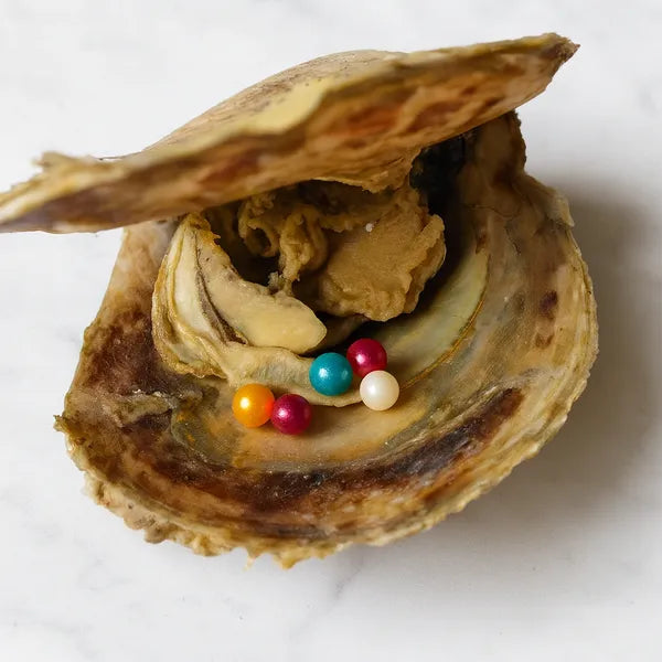 Mini Pearl Oyster Opening