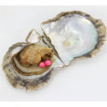 Surprise Multiple Oyster