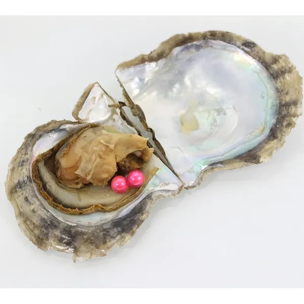 Surprise Multiple Oyster