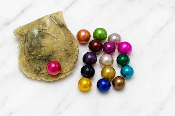 Edison Oyster