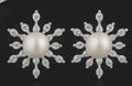 Snowfall Earrings