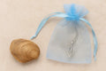 Open at Home- Oyster Opening Kit